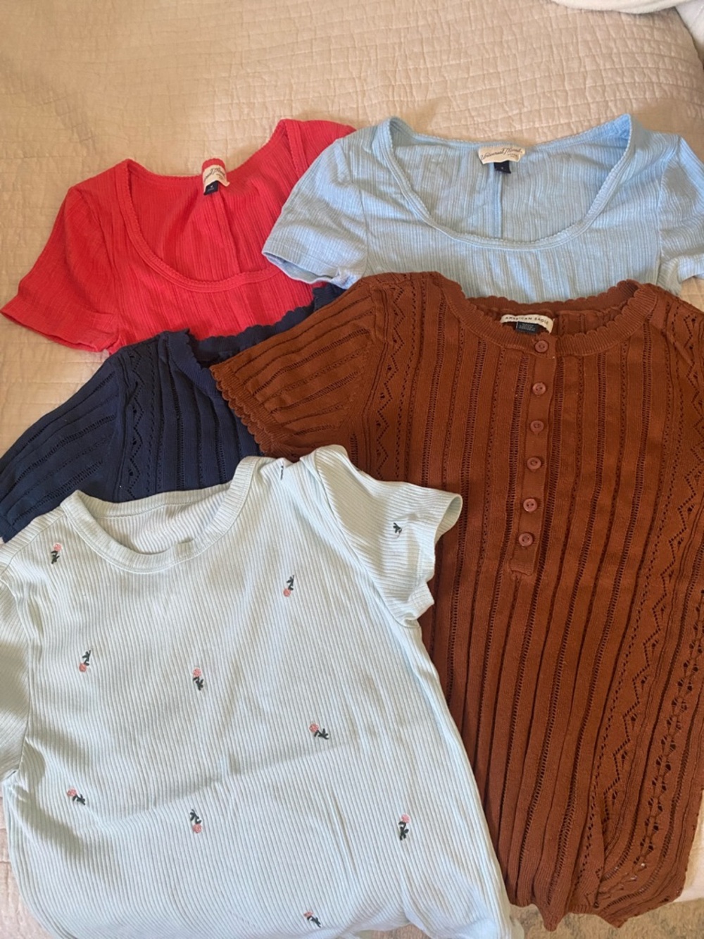 American Eagle Outfitters Ribbed Button-Front Top in Rust and Mixed Tees Bundle